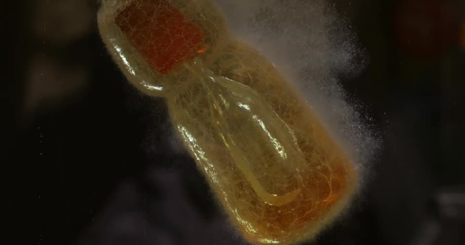 Molten glass shape with decorative cracks boils the water as it is quenched during glass making