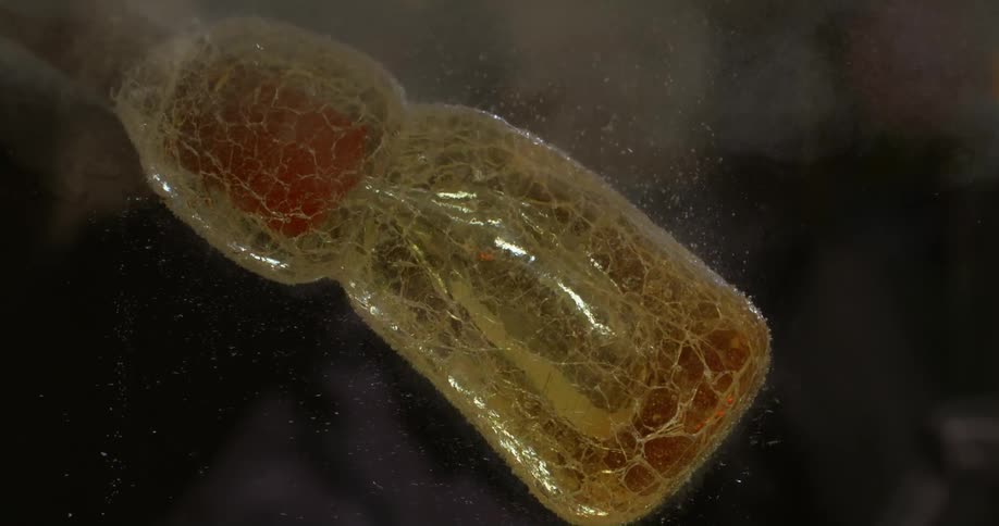 A melted glass under the water is boiling the water making bubbles