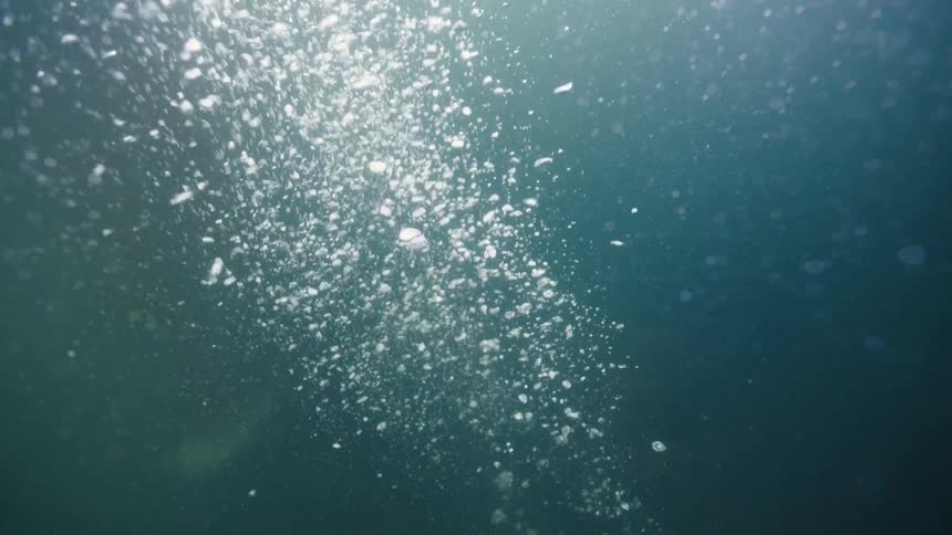 A column of bubbles in the ocean