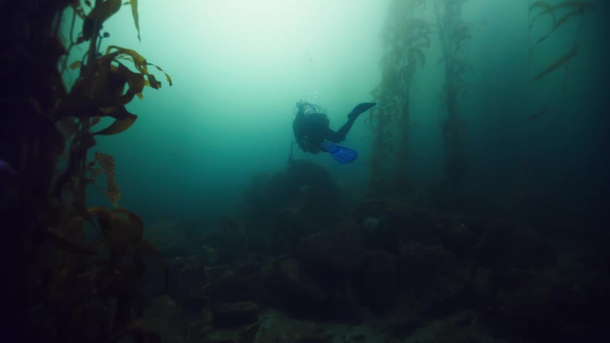 A diver swimming underwater at midday