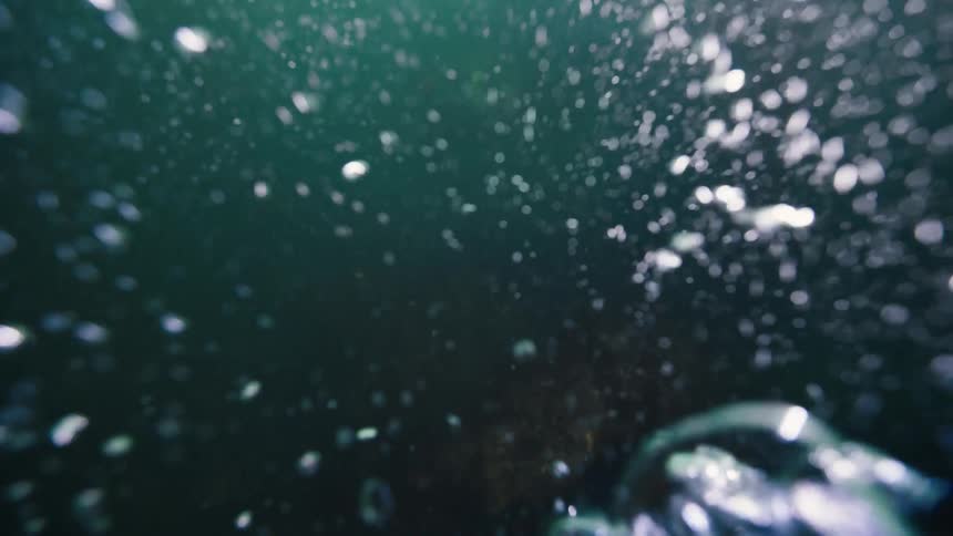 Bubbles rising to the surface from a diver in the ocean