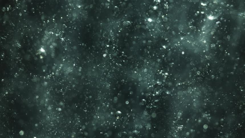 Bubbles float in the water