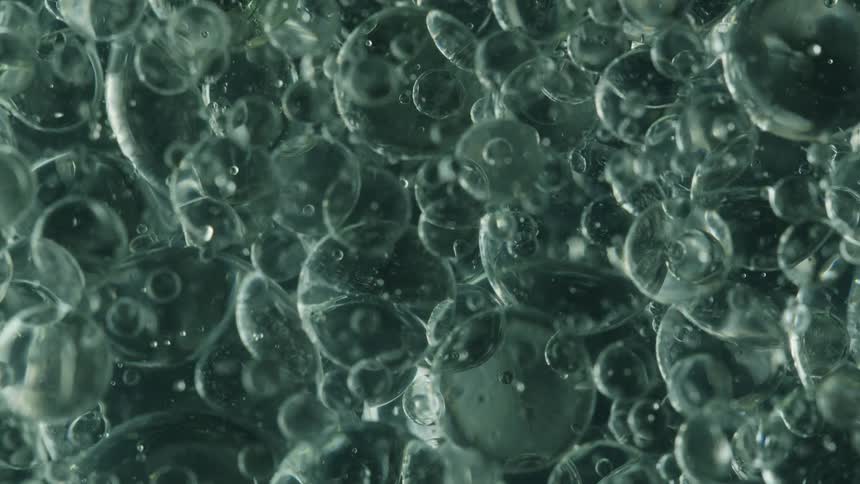 A bunch of bubbles are floating in the water