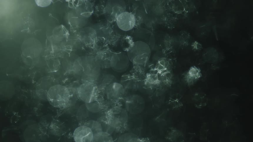 A viscous liquid with many bubbles in a perfect circular shape
