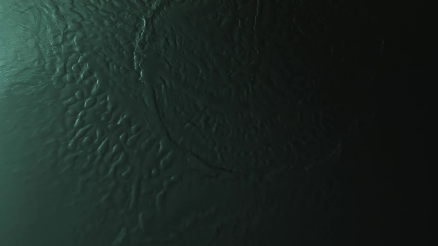 Close up of dark green liquid texture