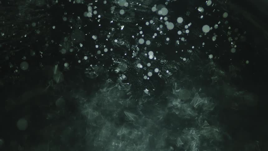 The frozen water has floating bubbles