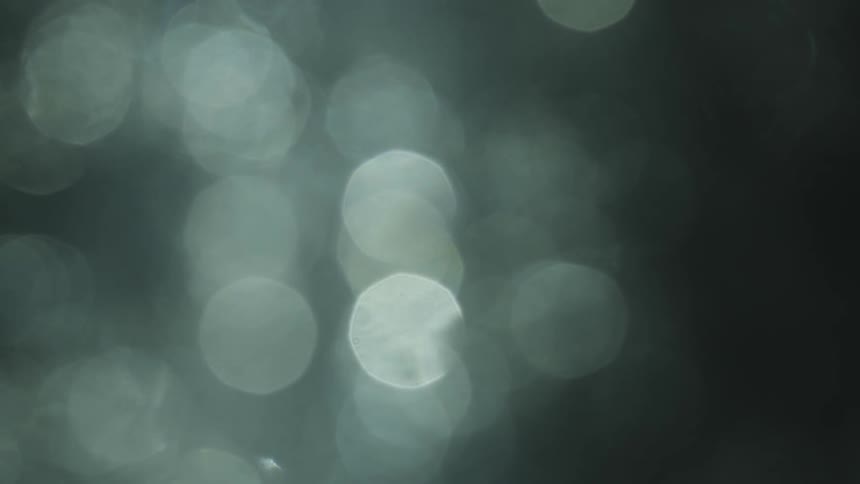 Bright shapes in the blurry landscape