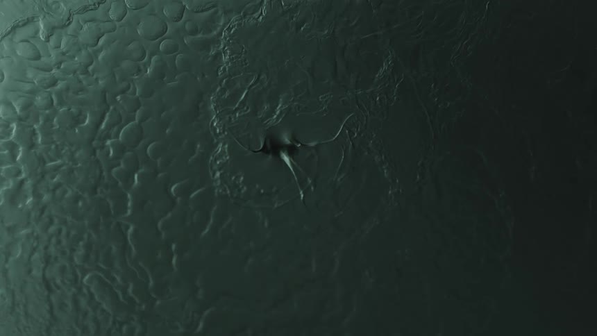 Abstract green choppy water texture