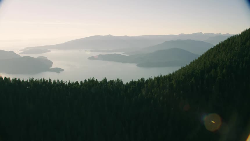 Conifer forest covered mountain overlooks islands in bay on a foggy day