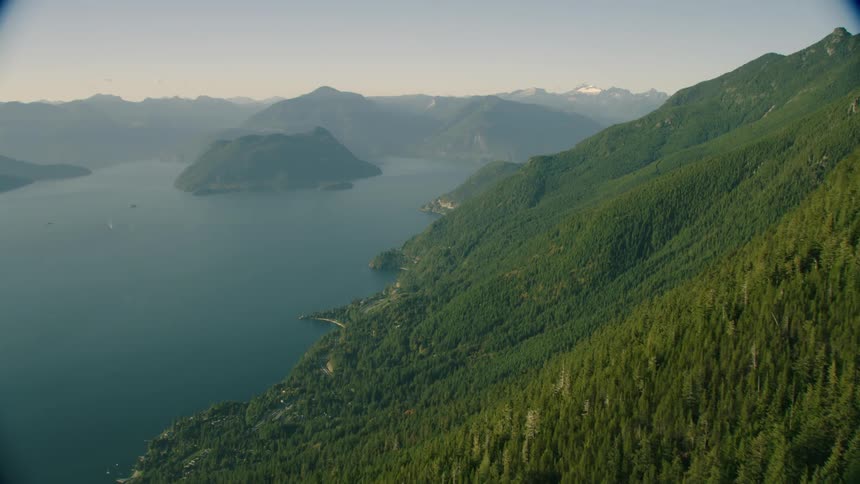 Aerail view of high mountain slope with a forest near the lake