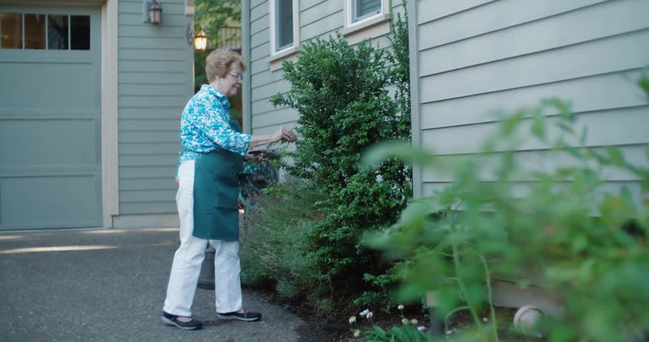 Elderly woman pruning bushes on the back of the house