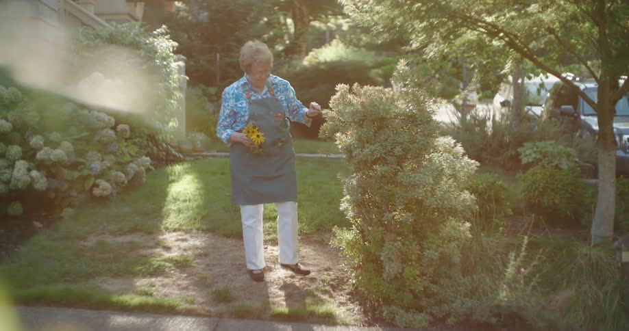 An elderly woman tending to flowers in the front yard at midday
