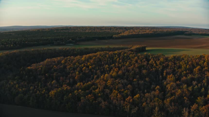 Field separates sections of woods with yellowing foliage on a cloudy day