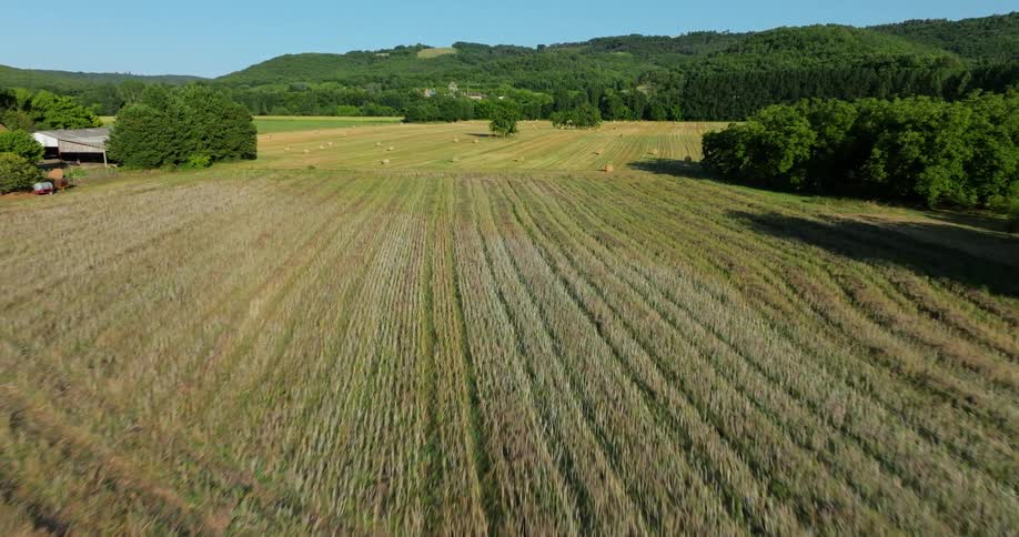 The farm land is lush and green