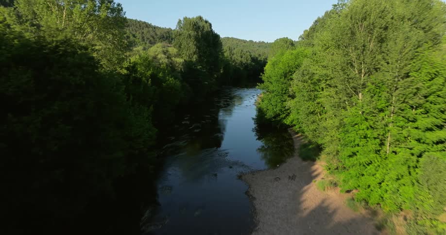 Aerial of river flowing in the green forest