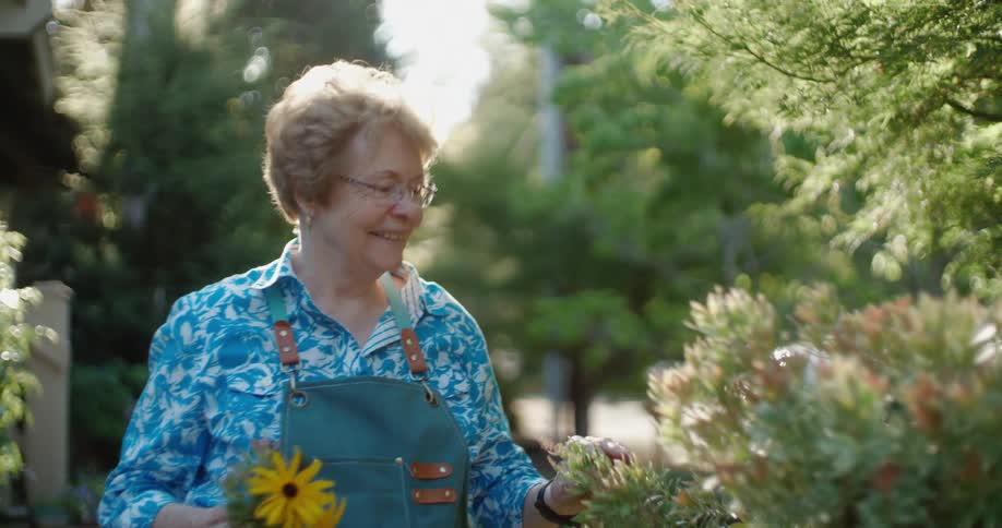 Older woman in garden picking flowers waves hello