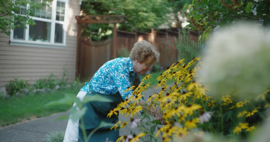 A woman with glasses wearing a blue shirt and green apron tends to yellow flowers in the backyard