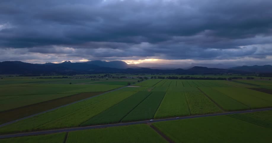 Vehicles drive by the farm land