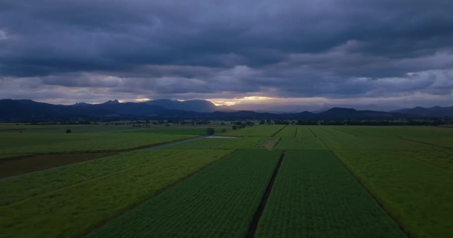 Aerial view of fields of crops under blue clouds at evening