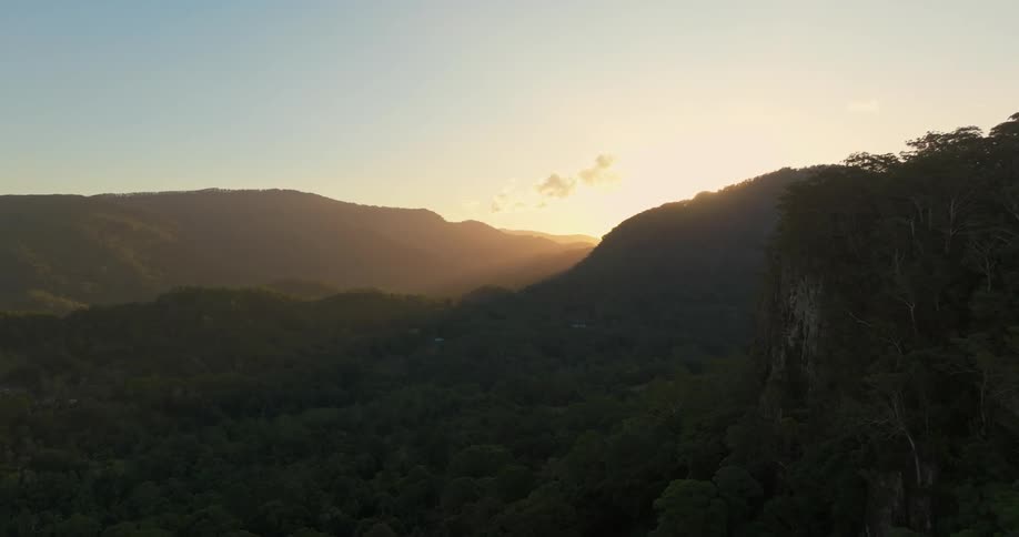 Aerial of wild forest during sunrise