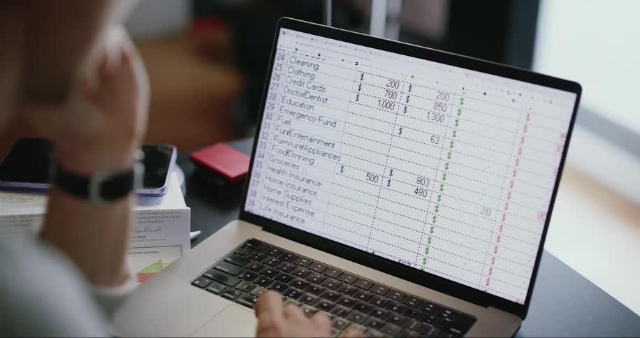 A person looking at a spreadsheet on the computer