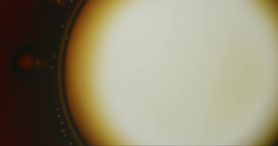 A circular object of gold and yellow color