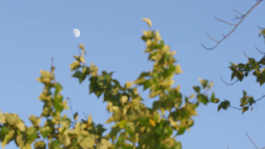 The moon is visible in the clear sky above