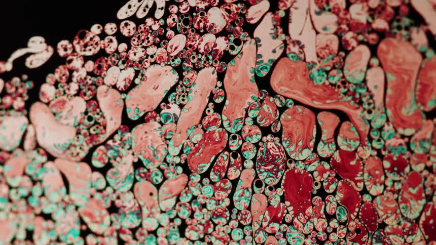 A liquid with colorful shapes moving in different directions