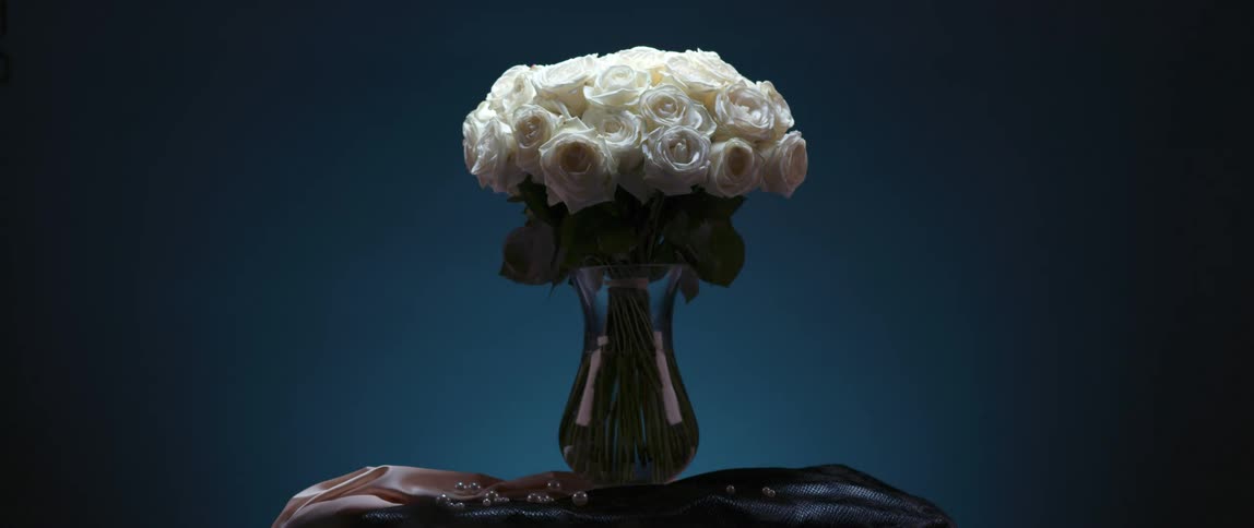 Colorful light shines and then fades on a bouquet of white roses in a vase