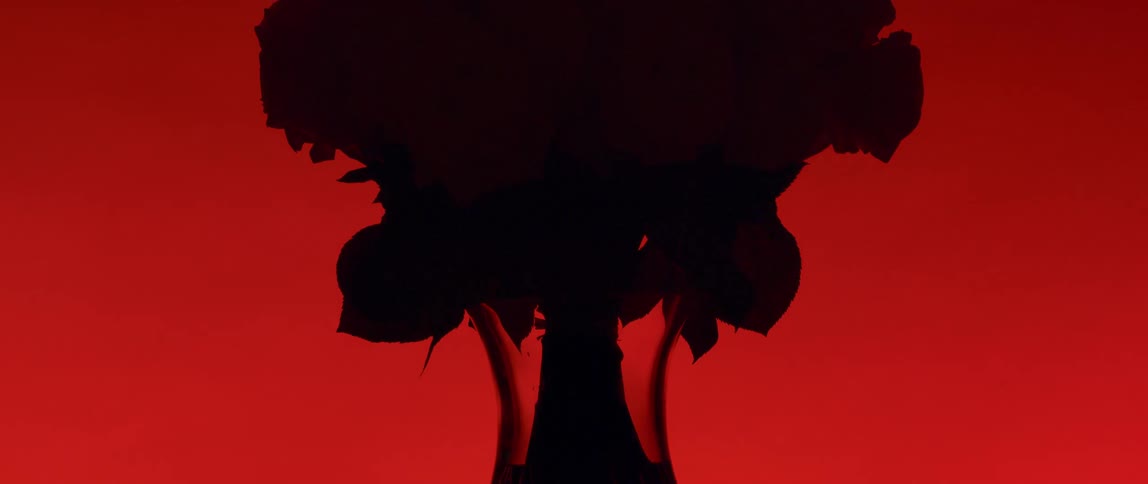 A bouquet of red roses is revealed against a bright red background