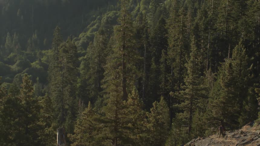The hills are covered with tall trees and a man is hiking below