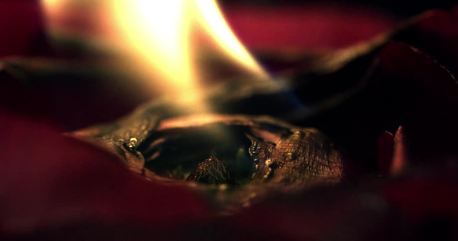 Abstract small wooden log being burned by fire