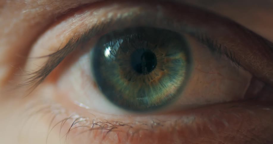 Closeup of a green eye with small yellow spots
