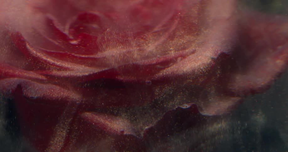Bright small particles shimmer and float around a red background