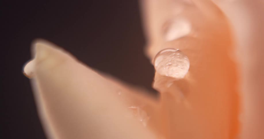 Closeup of a drop of water