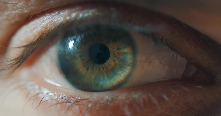 Closeup of a human blue iris