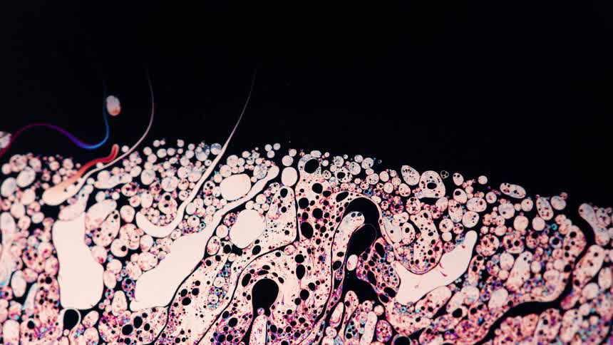 Bubbles and blobs of color floating on black swirl and flow together
