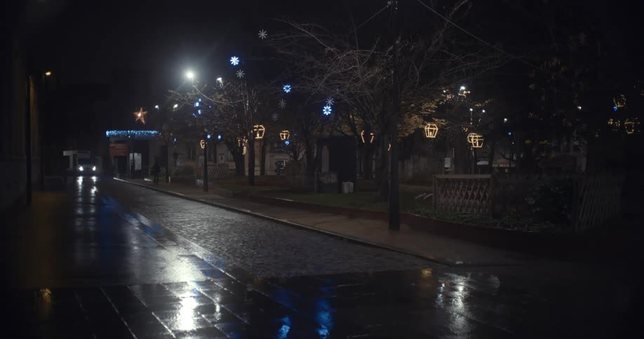 Christmas decorations on the trees of a park at night