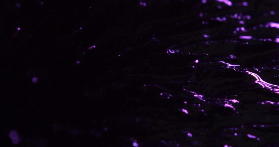 Abstract colorful light movement