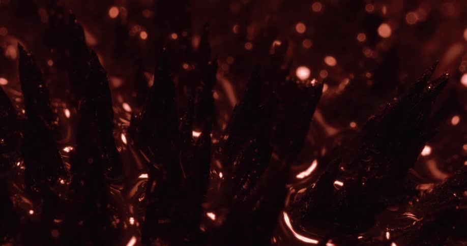 The objects are lying in liquid