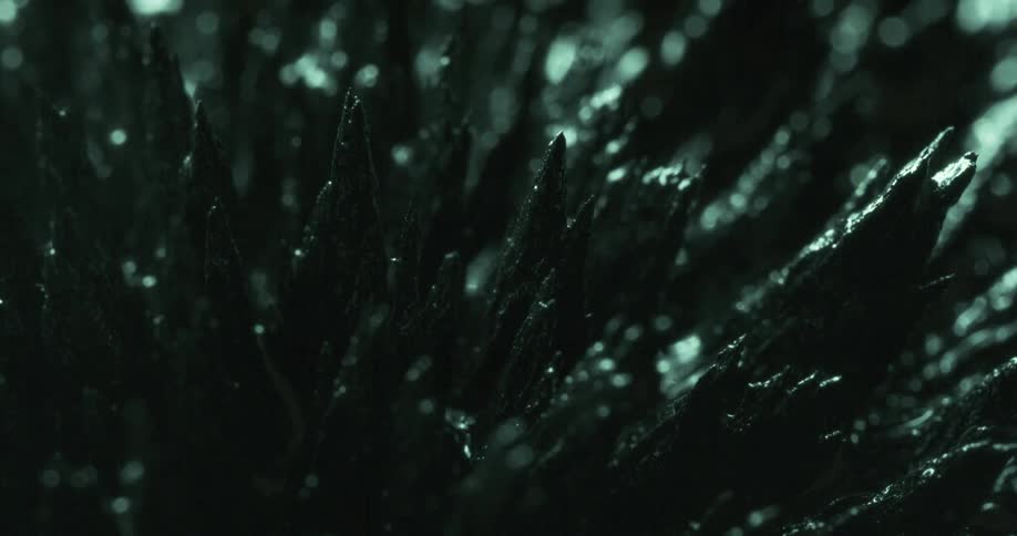 Jagged black spikes under changing colored lights