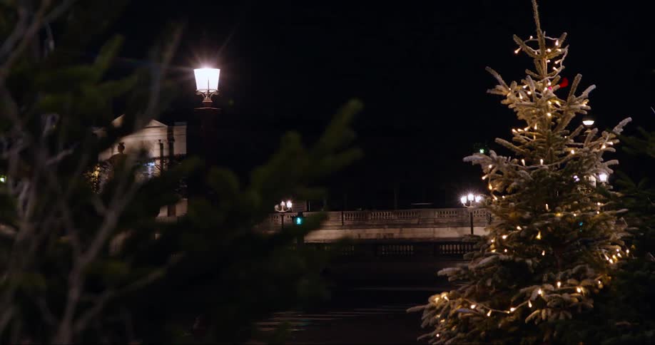 Pine tree with holidays lights outdoors near street