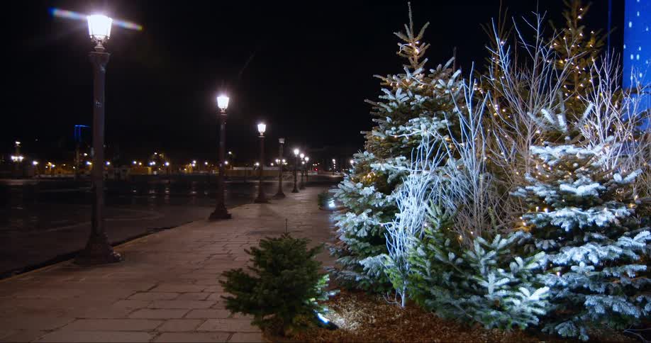 Streetlamps line river near decorated christmas trees across from city at night
