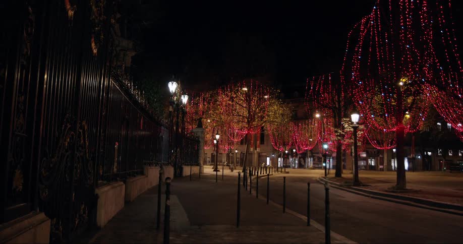 Decorative lights cover the trees on the street