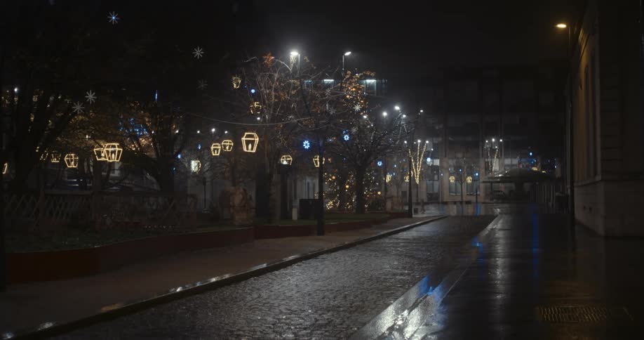 View of a public street with lampposts and trees decorated with lights