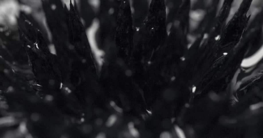 Spikes emerge from oily liquid before folding down again