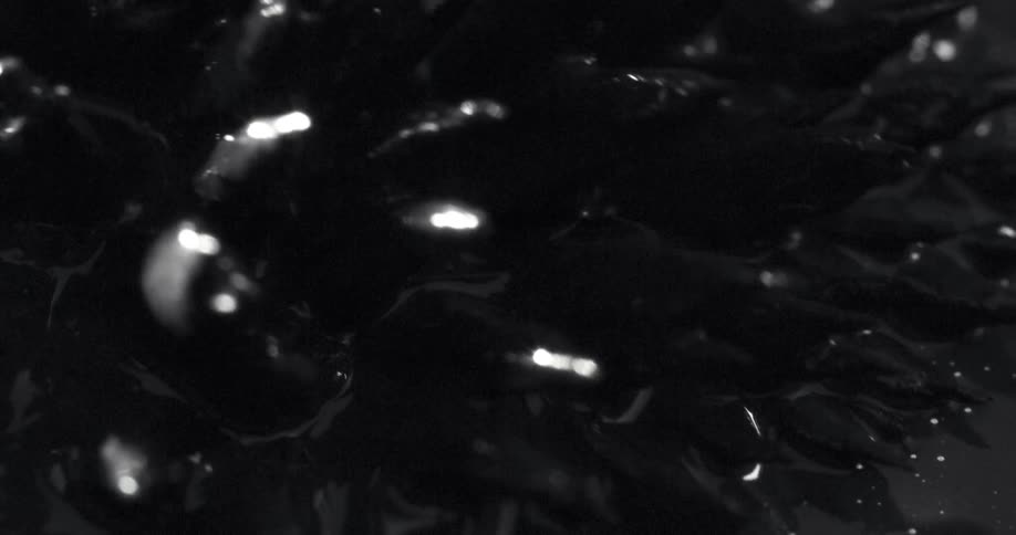 The metallic strands move around in the screensaver