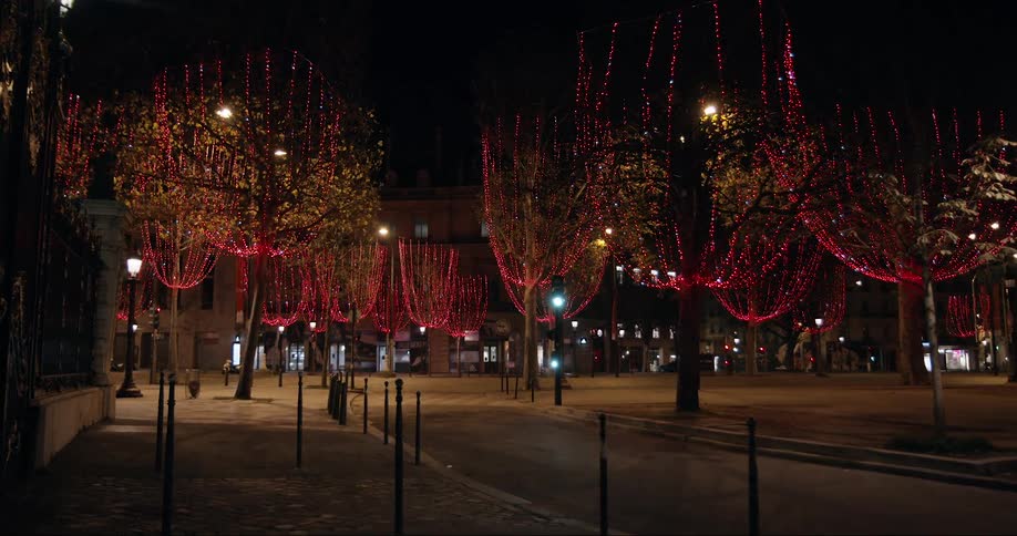 The trees have lights in the city at night