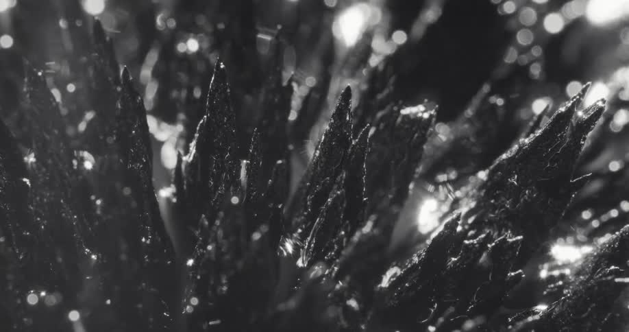 Spikes with black jagged edges under moving lights