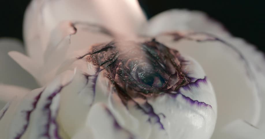 A small flame burns the top of a white flower